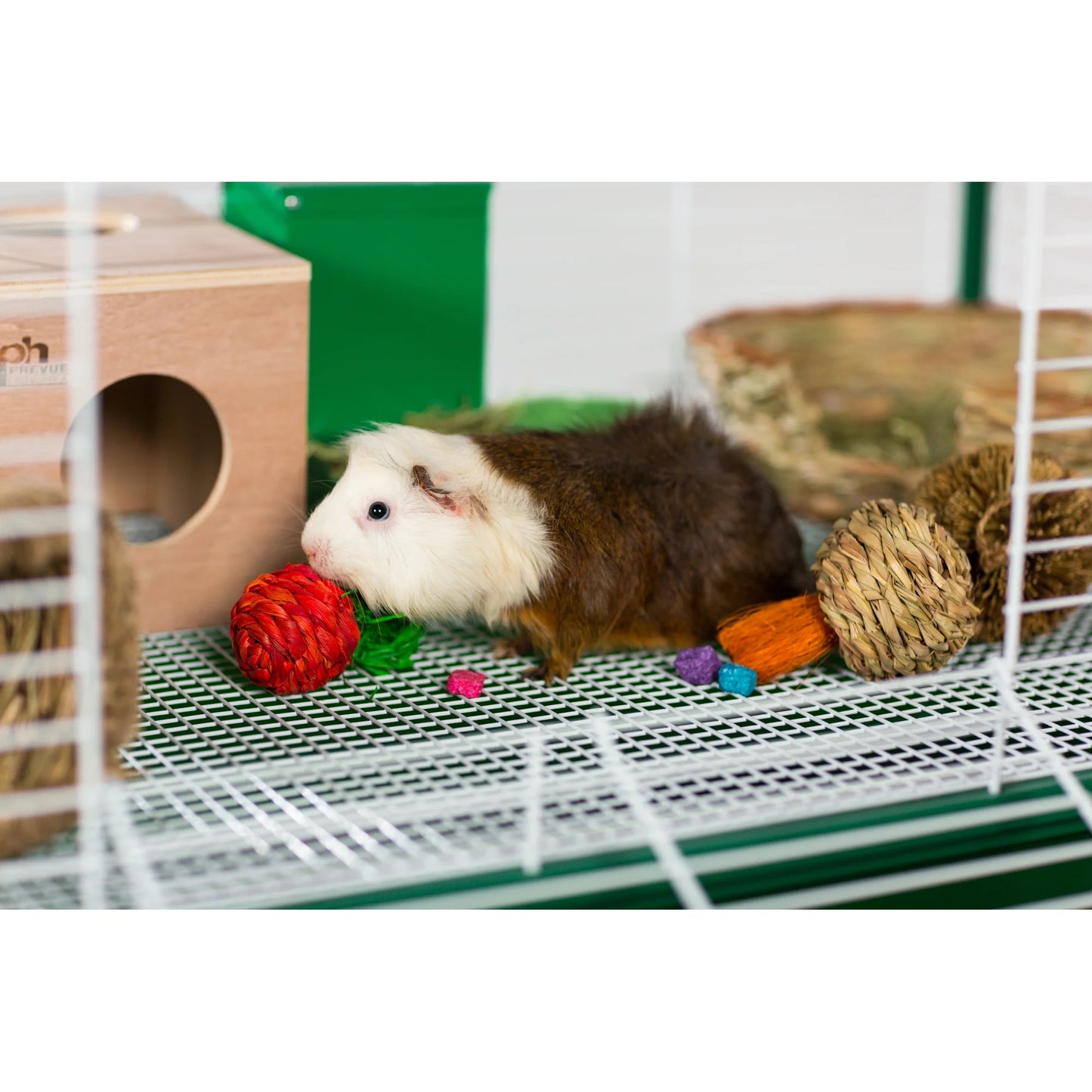 Prevue Pet Products Hamsteroids Treat