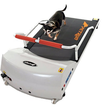 Dog Treadmills & Exercise Equipment