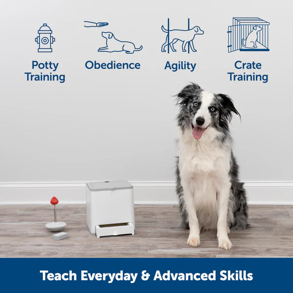 PetSafe Teach & Treat Remote Reward Trainer - Reinforce Good Manners, Dispense Treats from 30 Yards Away, Portable Training System for Dogs