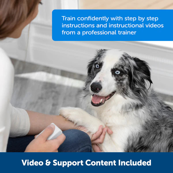 PetSafe Teach & Treat Remote Reward Trainer - Reinforce Good Manners, Dispense Treats from 30 Yards Away, Portable Training System for Dogs